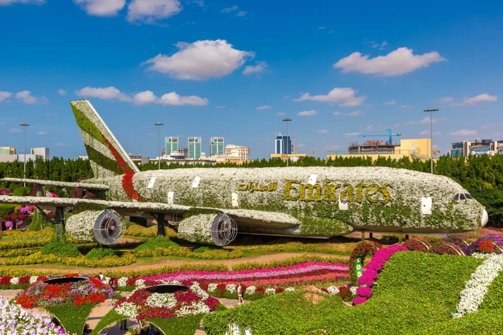 Miracle Garden in Dubai/Miracle Garden in UAE/Dubai miracle Garden