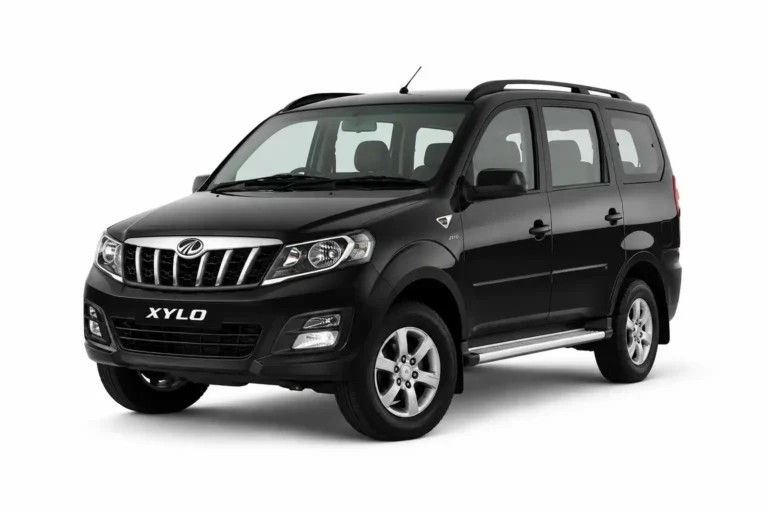 xylo